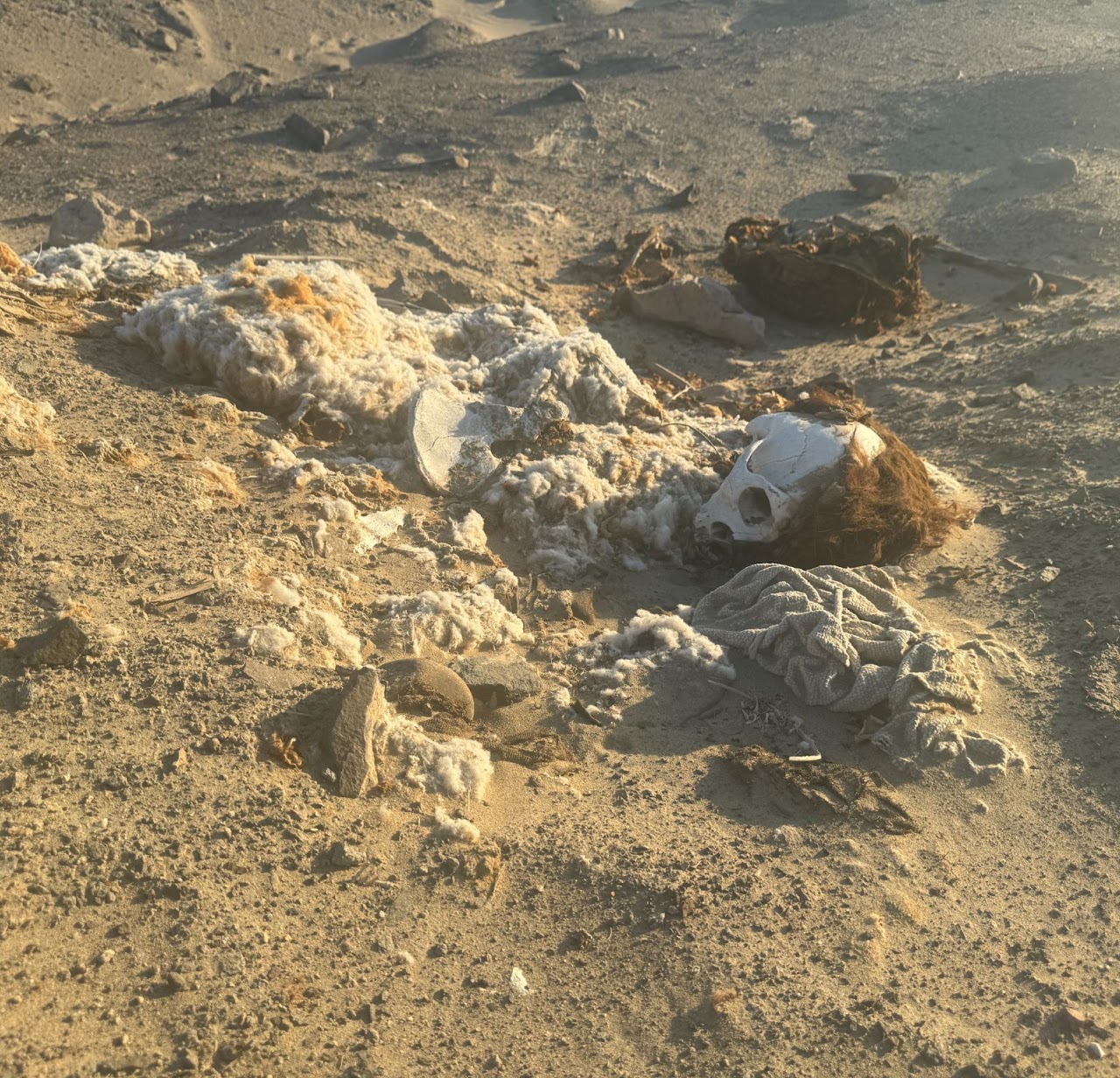 Looted Burial Sites